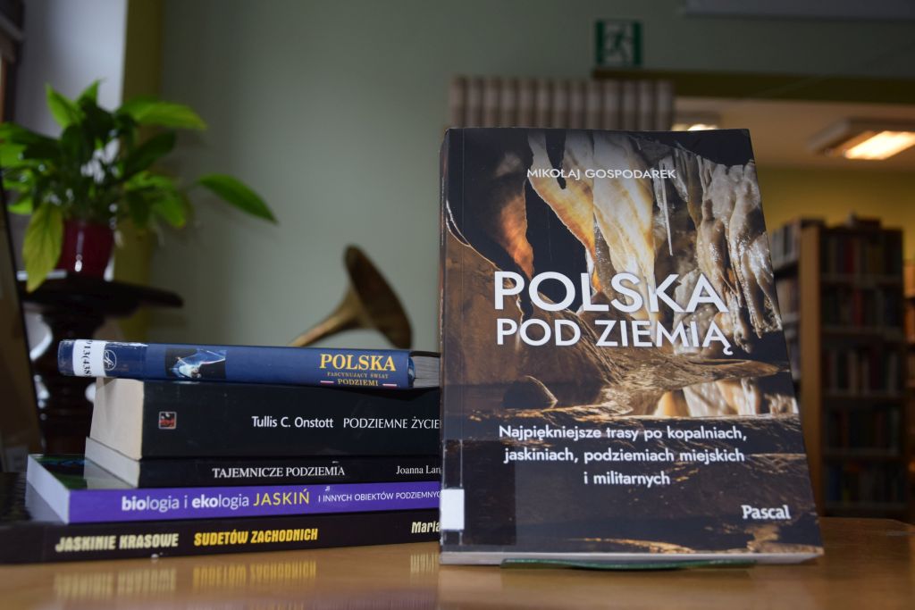 Wystawka książek w Czytelni MBP.