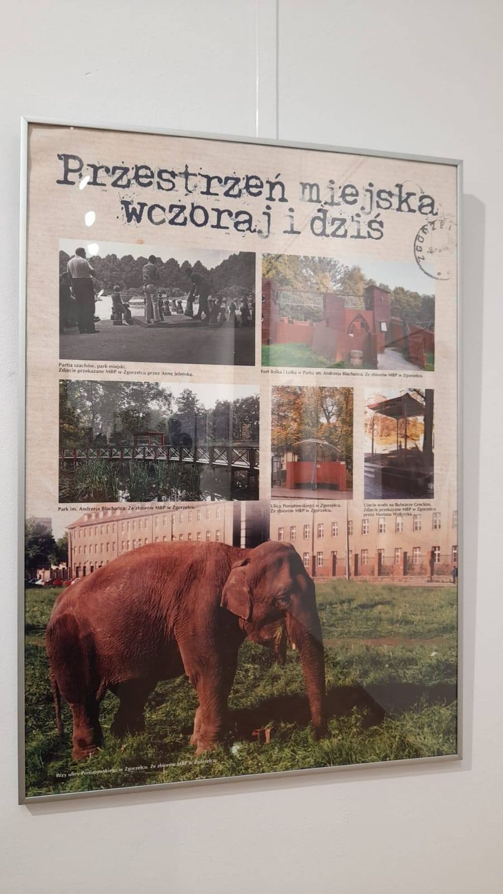 Wystawa "Zgorzelec ma 80 lat!".