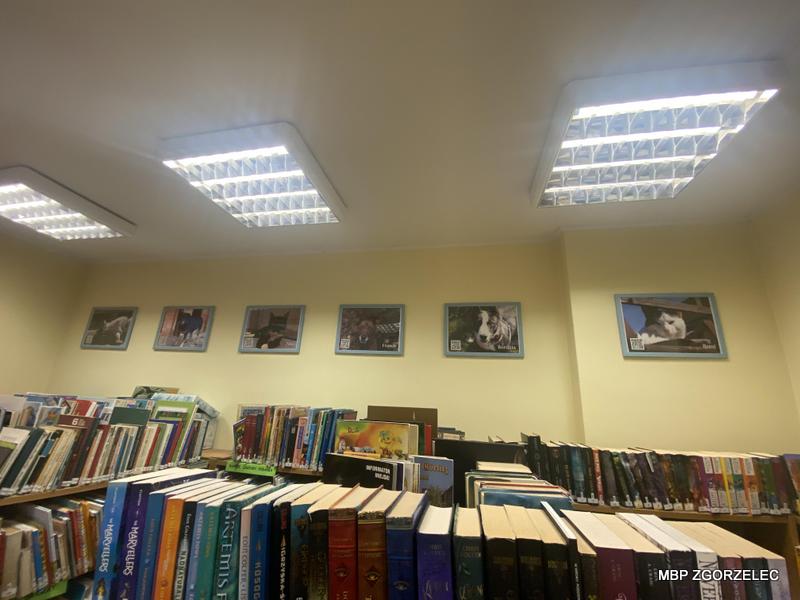 Kolorowy plakat z tekstem: Zwierzęta do adopcji w Schronisku dla Zwierząt Małych w Dłużynie Górnej Wystawa zdjęć powstała w ramach inicjatywy młodzieżowej pn. biblioteka dla wszystkich istot Autorami zdjęć są wolontariusze i pracownicy Schroniska Chcesz zaadoptować lub poznać historię zwierzątka? Wejdź na stronę schroniskodg.pl lub zeskanuj telefonem QR przy każdej fotografi. inicjatywa dia zwierząt "